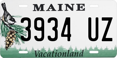 ME license plate 3934UZ