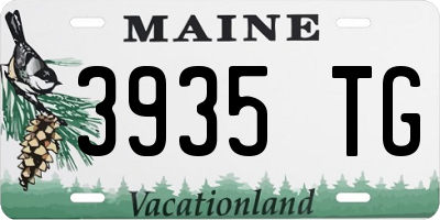 ME license plate 3935TG