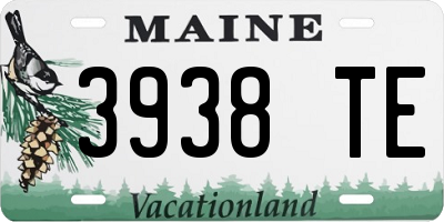 ME license plate 3938TE