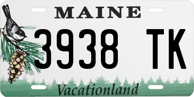 ME license plate 3938TK