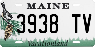 ME license plate 3938TV