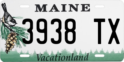 ME license plate 3938TX