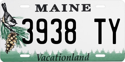 ME license plate 3938TY