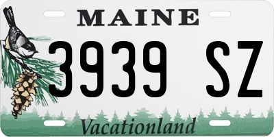 ME license plate 3939SZ