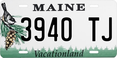 ME license plate 3940TJ