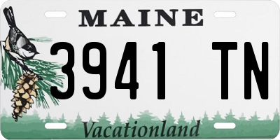 ME license plate 3941TN