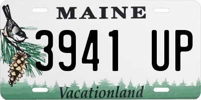 ME license plate 3941UP
