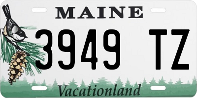 ME license plate 3949TZ