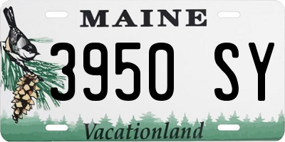 ME license plate 3950SY