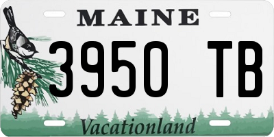 ME license plate 3950TB