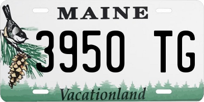 ME license plate 3950TG