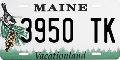 ME license plate 3950TK
