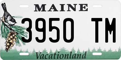 ME license plate 3950TM