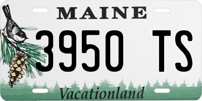 ME license plate 3950TS