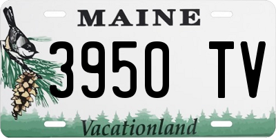 ME license plate 3950TV