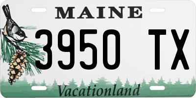 ME license plate 3950TX