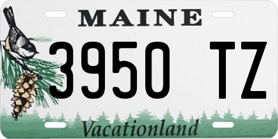 ME license plate 3950TZ