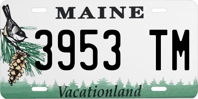 ME license plate 3953TM