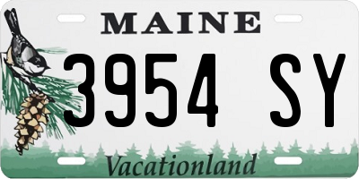 ME license plate 3954SY