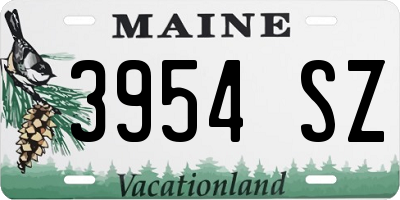 ME license plate 3954SZ