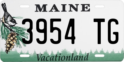 ME license plate 3954TG