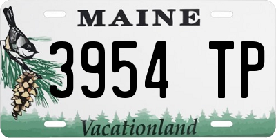 ME license plate 3954TP