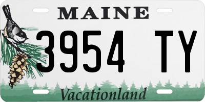 ME license plate 3954TY