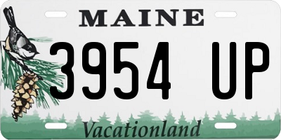 ME license plate 3954UP