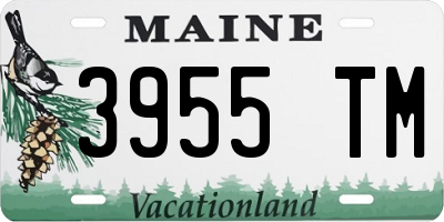 ME license plate 3955TM