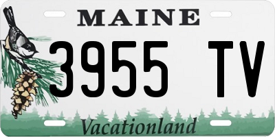 ME license plate 3955TV