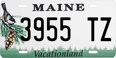 ME license plate 3955TZ