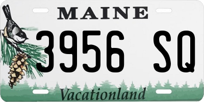 ME license plate 3956SQ
