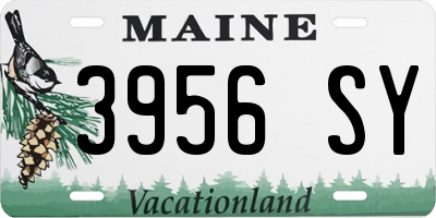 ME license plate 3956SY