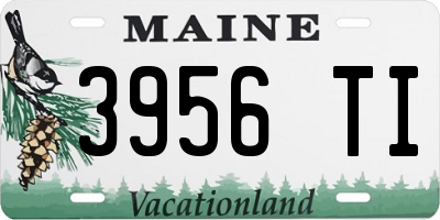 ME license plate 3956TI