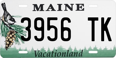 ME license plate 3956TK
