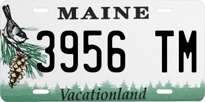 ME license plate 3956TM