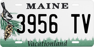 ME license plate 3956TV