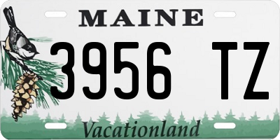 ME license plate 3956TZ