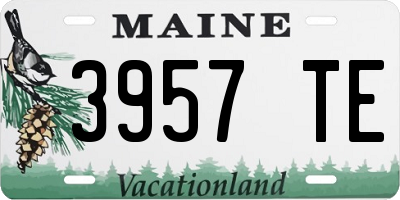 ME license plate 3957TE