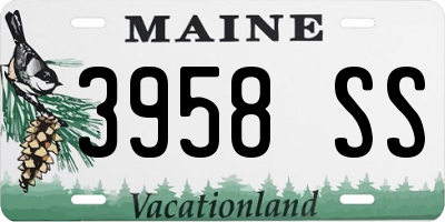 ME license plate 3958SS