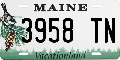 ME license plate 3958TN