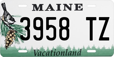 ME license plate 3958TZ