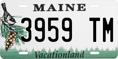 ME license plate 3959TM