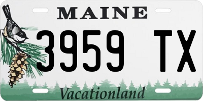 ME license plate 3959TX