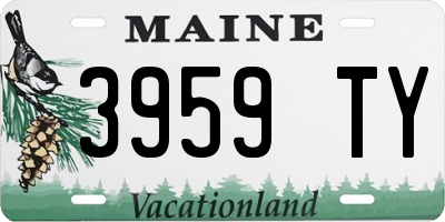 ME license plate 3959TY