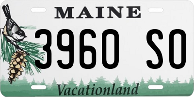 ME license plate 3960SO