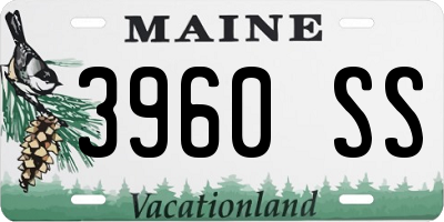 ME license plate 3960SS