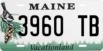 ME license plate 3960TB