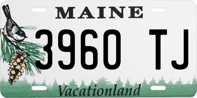 ME license plate 3960TJ