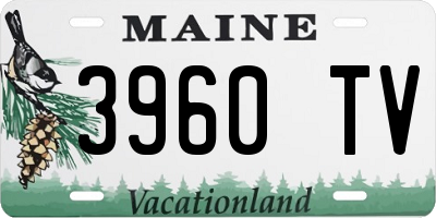 ME license plate 3960TV